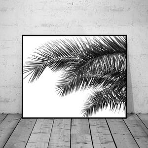 Plant Print, Leaf art, Botanical Photography, Wall Art Print, Black-White Wall Art, Printable Poster, Digital Download, 5 JPGs