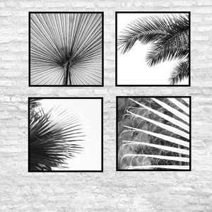 Plant Print, Leaf art, Botanical Photography, Set of 4, Wall Art Print, Black-White Wall Art, Printable Poster, Digital Download, 4 JPGs