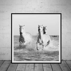 Horse Photography, Wall Art Print, Black-White Photo, Printable Poster, Digital Download, 4 JPGs