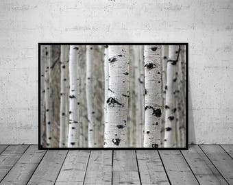 Minimalistic Art, Wood Photo, Tree Art, Home Decoration, Printable Wall Art, Black-White Photo, Printable Poster, Digital Download, 5 JPG's