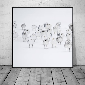 Birds Print, Snow Photography, Minimalistic Art, Digital Print, Black-White Photo, Wall Art, Printable Poster, Digital Download, 4 JPGs