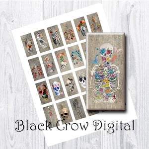 May include: A digital printable sheet of 16 images featuring a skeleton with flowers and butterflies, lungs, ribs, and skulls. The images are on a woodgrain background.