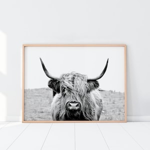 Highland Cow Print, Printable Wall Art, modern wall art, Shaggy Cow Photo, Animal Print, Digital Download, Rustic Decor, Farm Animal
