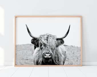 Highland Cow Print, Printable Wall Art, modern wall art, Shaggy Cow Photo, Animal Print, Digital Download, Rustic Decor, Farm Animal