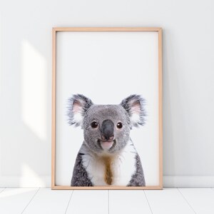 Koala Print, Nursery Wall Art, Baby Room Wall, Baby Animals, Printable ...