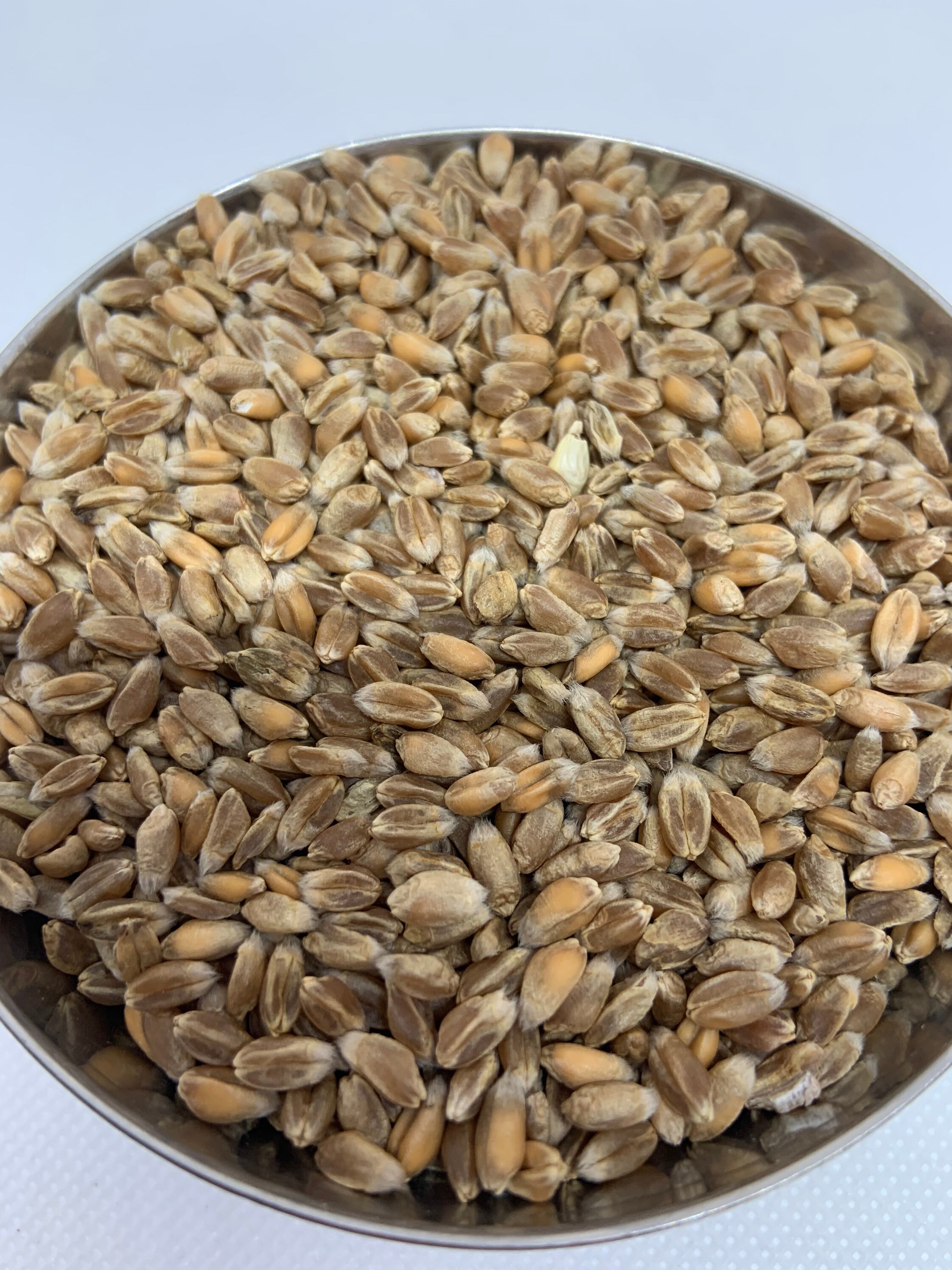 Unscented Wheat bag Wheatbag Heatpack Frozen pack Etsy