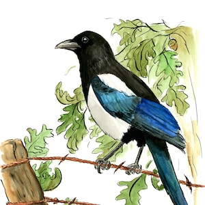 Magpie Giclee Print