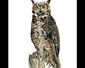Great Horned Owl Giclee Print