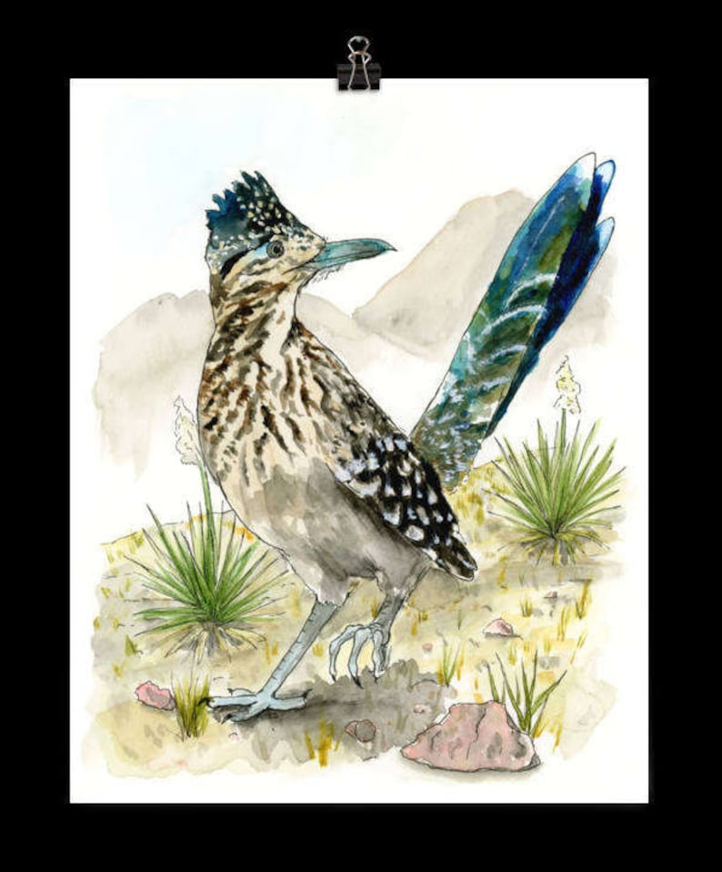 roadrunner shape collage roadrunner shape collage