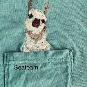 May include: A teal blue t-shirt with a brown and white embroidered llama peeking out of a pocket that says "Seafoam".