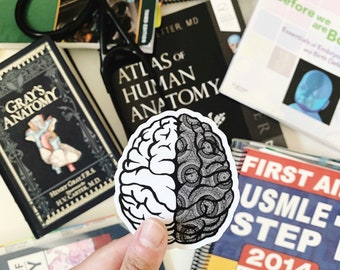 Brain sticker- Anatomy Art- Brain Anatomy Sticker- Vinyl Sticker- Medical sticker, Neurology