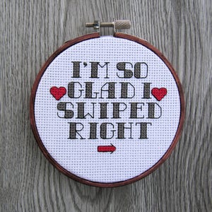 PATTERN: I’m So Glad I Swiped Right Instant Download