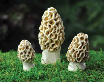 Handmade Mini Morel Mushroom Vessels