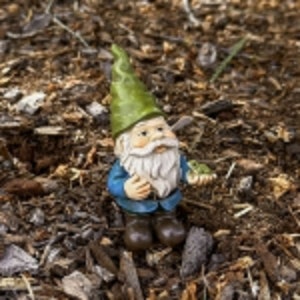 Miniature Garden Gnome with frog, height 3.5 inches c/w 3.5 inch metal pick, Terrarium, Fairy Garden