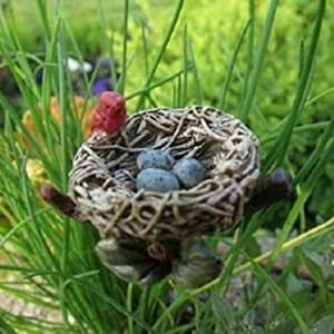 Miniature Fairy Garden Mama Cardinal with her nest of 3 eggs, width 1 inch c/w 5 inch pick