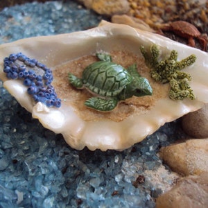 Miniature Turtle Shell, length 2.5 inches, Beach, Fairy Garden, Terrarium