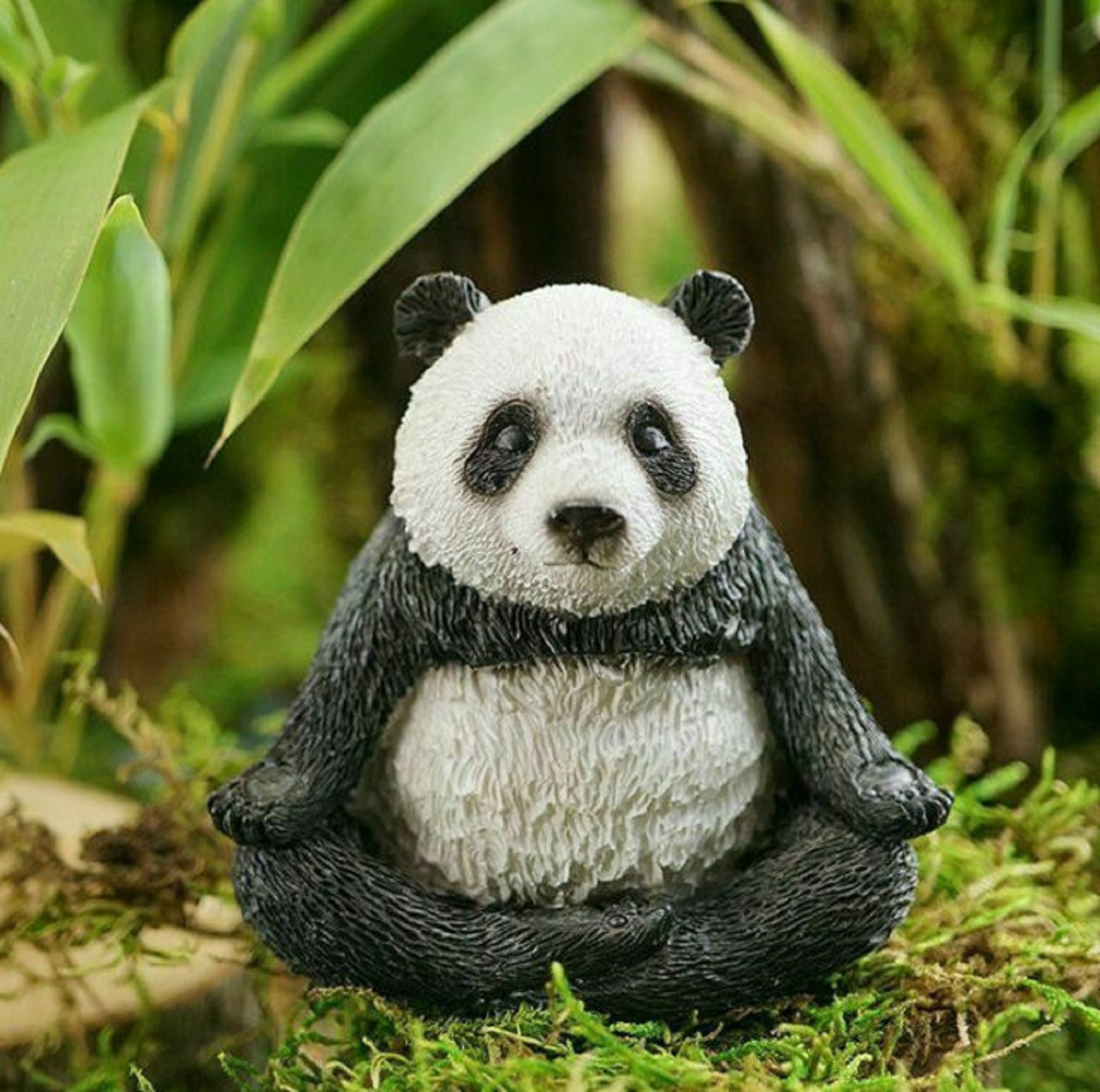 Panda Yoga -  Canada