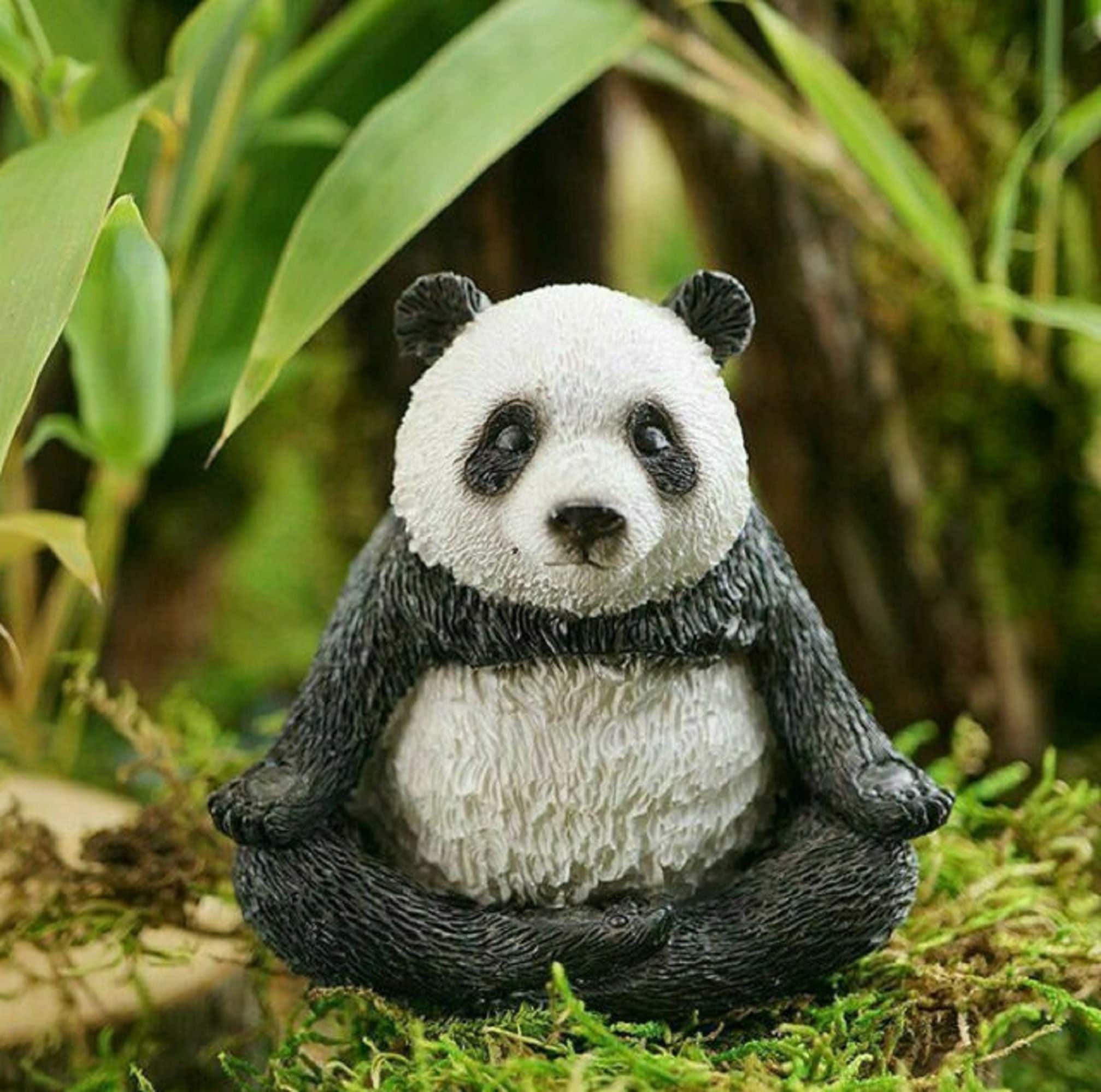 Большие панды. Кукла панда. Мужская футболка 3d panda xxs. Панда топ. Top panda.