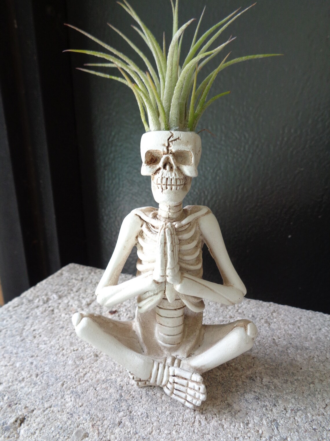 casetify skeleton yoga