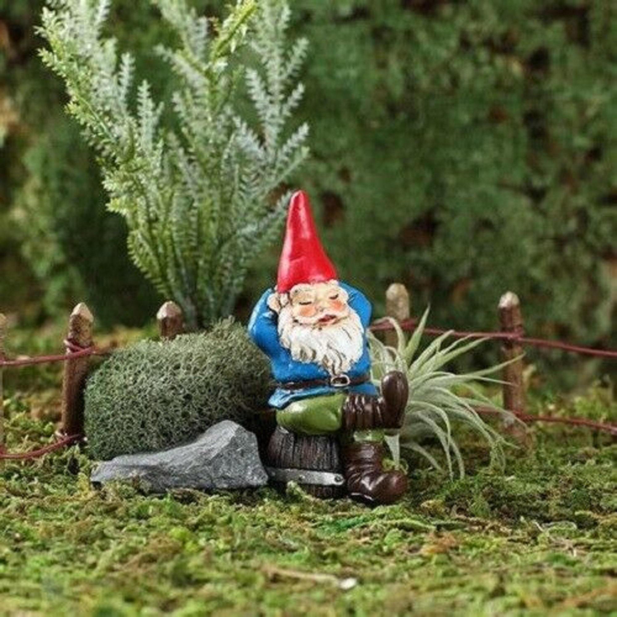 Miniature Garden Rufus the Sleeping Gnome Height 2.75 Inches Etsy  Australia