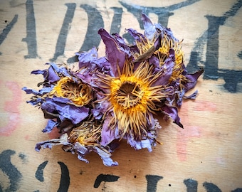 Té de flor de loto azul en hojas sueltas - Flor entera - Antiguo Egipto - Loto egipcio - Lirio sagrado - Nymphaea caerulea - Alta calidad