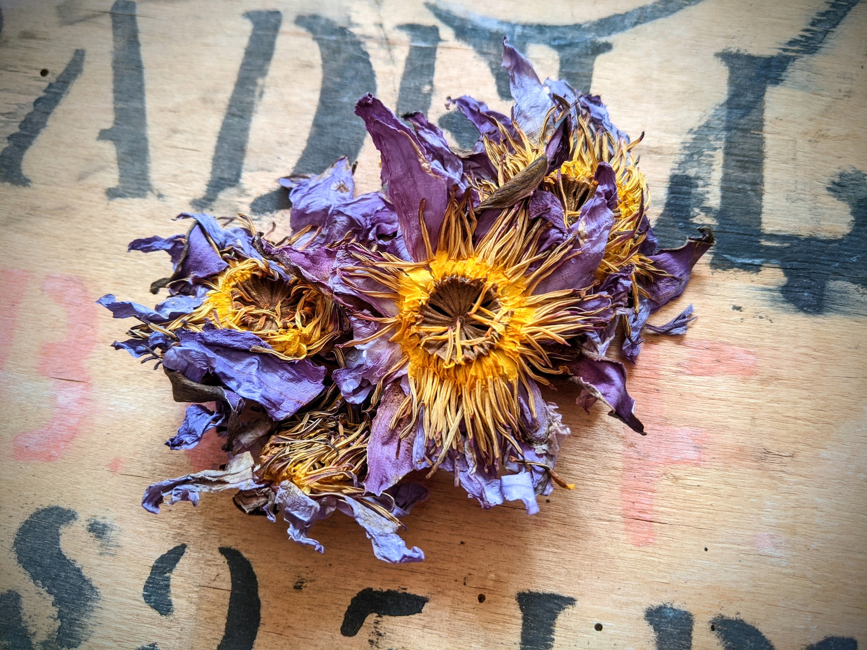 バレエ typeW grateful/checked flower smoke blue Blue Lotus Flower Loose Leaf Tea - Whole Flower - Ancient