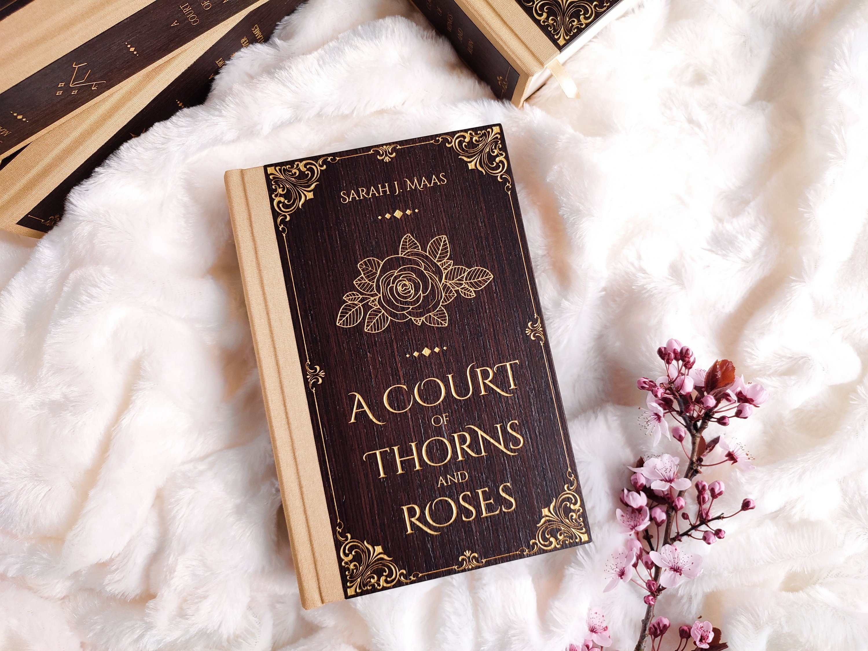 Amazon.com: A Court of Thorns and Roses Paperback Box Set (5