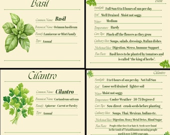 Fichas de Perfil de Hierbas Medicinales Culinarias / Guía de Cultivo, Cuidado y Usos (Imprimible)