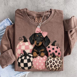 Puede incluir: Una sudadera marrón de manga larga con el gráfico de un cachorro de perro salchicha negro y fuego con un lazo rosa, rodeado de cinco calabazas con varios patrones, incluyendo cuadros rosas y blancos, lunares y estampado de leopardo.