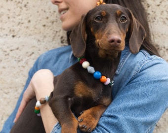 Handmade dog collar with colorful wooden beads - Dog necklace made of colorful wooden beads, dog collar | VRNQ