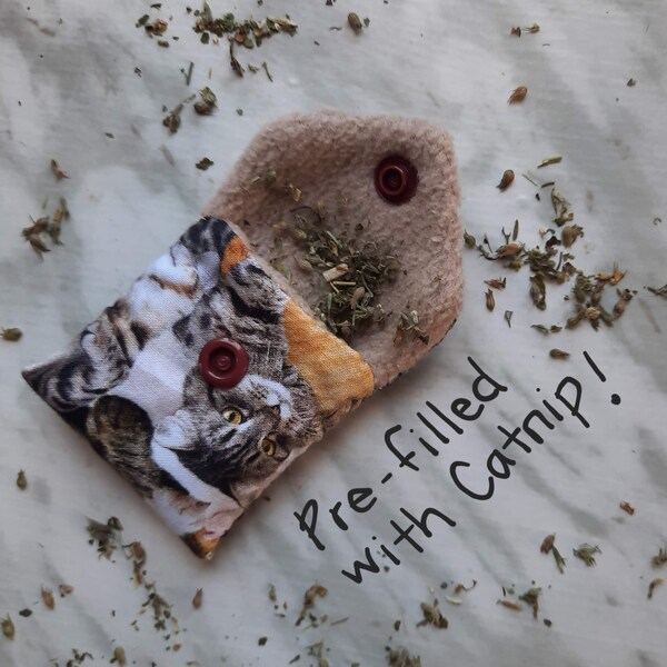 Cat Pouch Etsy