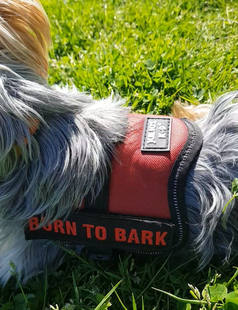 Two Personalised Dog K9 Harness Patch Name Embroidered Etsy