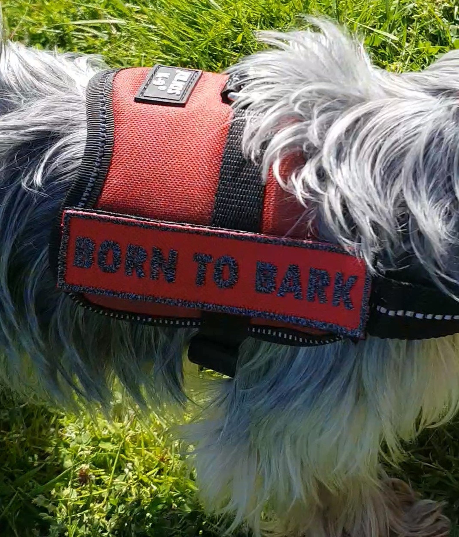 Two Personalised Dog K9 Harness Patch Name Embroidered Etsy