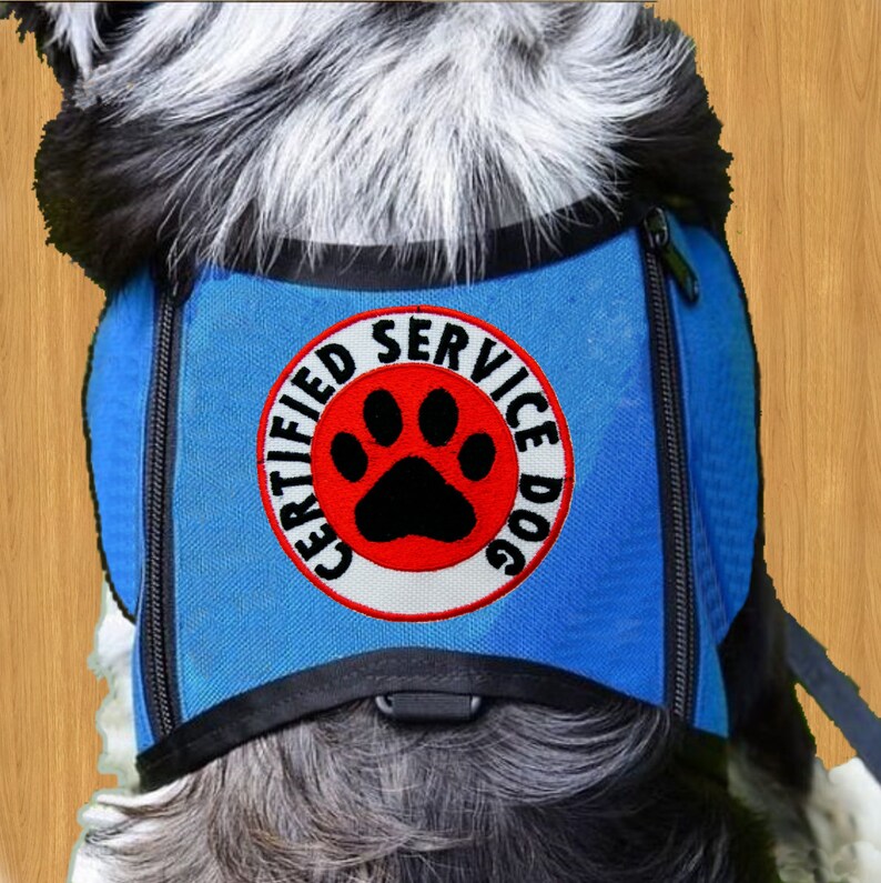 Custom Dog Patch Name Embroidered Iron On Personalized Pet Dog | Etsy