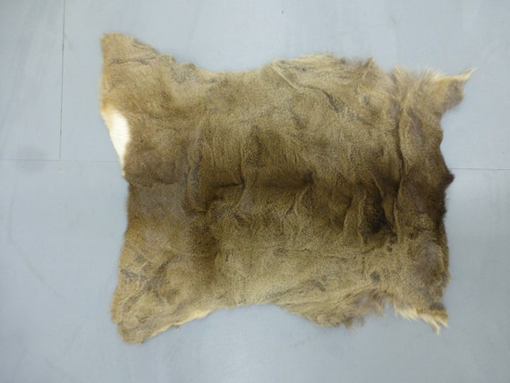 Fallow deer skin hide fur pelt rug home decor gothic shamanic interior ornament