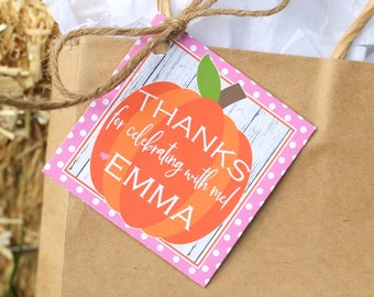 PUMPKIN GIRL Birthday Party Favor Tags/Stickers - Little Pumpkin Birthday - Pink Pumpkin Thank You Tags OR Stickers, Set of 12