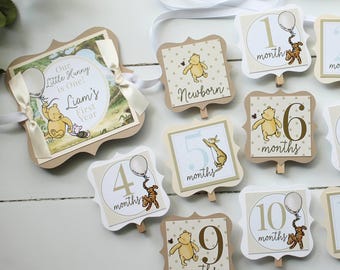 Winnie the Pooh First Birthday Photo Banner, Pooh First Birthday Photo Display, Monthly Photo Banner, Classic Pooh Birthday Decorations