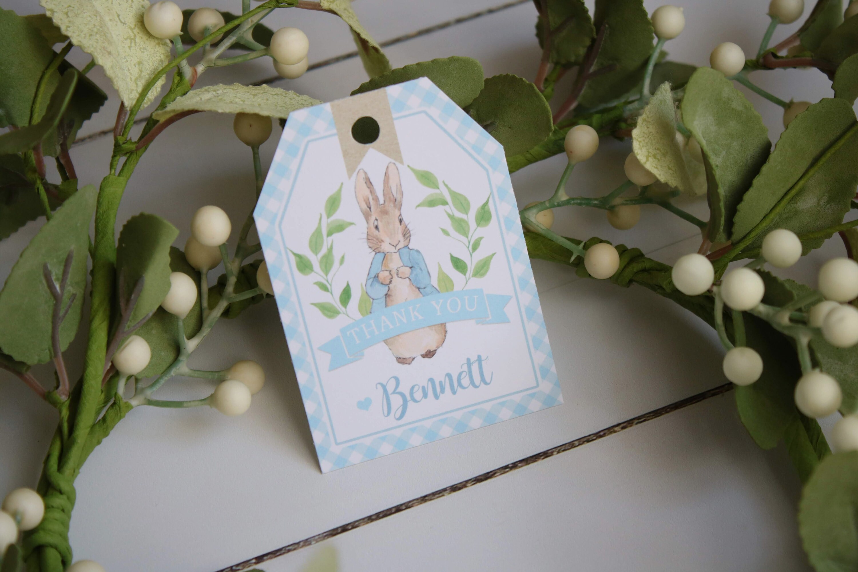 Peter Rabbit Birthday Party Favor Tags/stickers - Blue Gingham Bunny ...