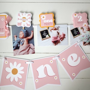 Pink Daisy First Birthday Photo Banner, 12 Month Banner, Monthly Banner, Groovy Retro Birthday Decor, Wild One, Daisy Birthday Banner