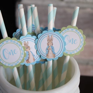Peter Rabbit Birthday Party Straws with Tags, Easter Bunny Birthday Straws, Peter Rabbit Party Decor, Light Blue Striped Straws with Tags