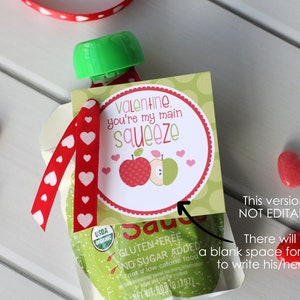 Applesauce Valentine, Printable Main Squeeze Valentine, DIY Valentine Cards, Kids Valentine Cards for Preschool, Instant Download