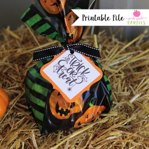 May include: A black and green cellophane bag with orange and black jack-o'-lantern designs. The bag is tied with a black ribbon and a white tag that says "Trick or Treat" with a spider web and spider graphic.