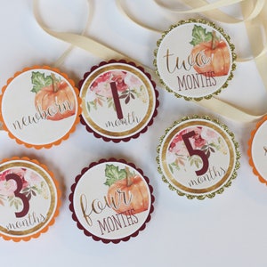 WATERCOLOR PUMPKIN First Birthday Photo Banner, 12 Month Photo Banner, Maroon, Burgundy, Orange, Gold, Cream Pumpkin First Birthday Decor