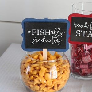 Graduation Candy Bar Labels, Graduation Party Decor, Grad Candy Bar, 2026 Decorations, Sweets Table Candy Buffet, Choose Your Colors! image 4