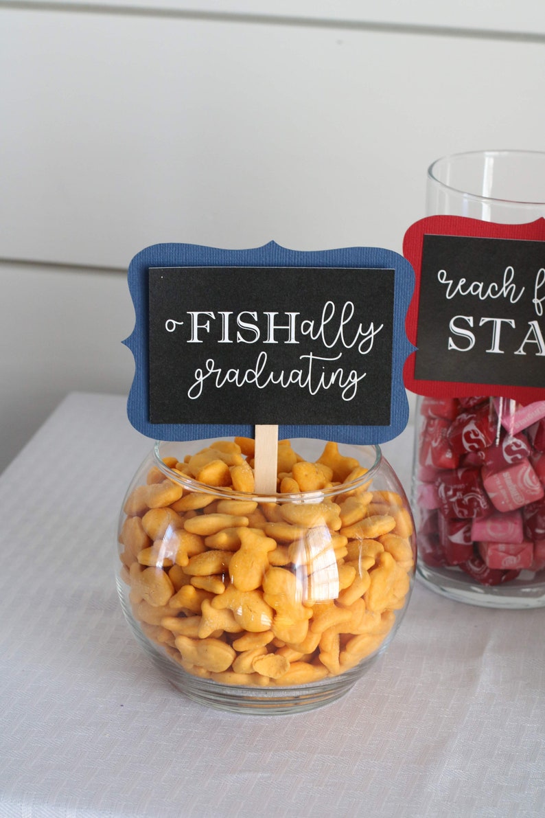 Graduation Candy Bar Labels, Graduation Party Decor, Grad Candy Bar, 2026 Decorations, Sweets Table Candy Buffet, Choose Your Colors! image 4