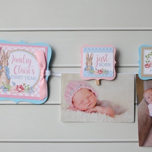 Peter Rabbit Girl Birthday Photo Banner - 12 Month Baby&#39;s First Year Photo Banner - Pink Bunny Birthday Party Photo Banner