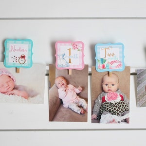 May include: A baby's first year photo banner with a pink and blue theme. The banner includes a title card that says "Alice's First Year" and individual cards for each month of the year. Each card features a photo of the baby at that age.