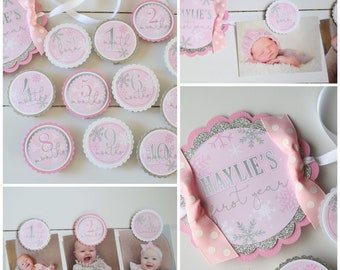Winter Onederland Birthday Photo Banner, Pink Silver Snowflake Milestone Banner, 12 Month Baby's First Year Banner, Picture Banner