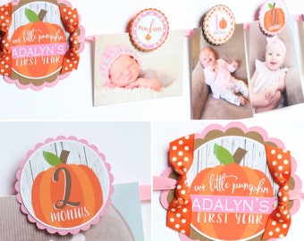 PUMPKIN GIRL Birthday Photo Banner - Little Pumpkin 12 Month Photo Banner - Fall First Birthday Party Photo Banner - Pink, Orange