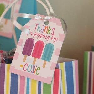 Popsicle Girl Birthday Party Favor Tags/Stickers - Bright Colorful Summer Popsicle Birthday - Thank You Tags OR Stickers, Set of 12